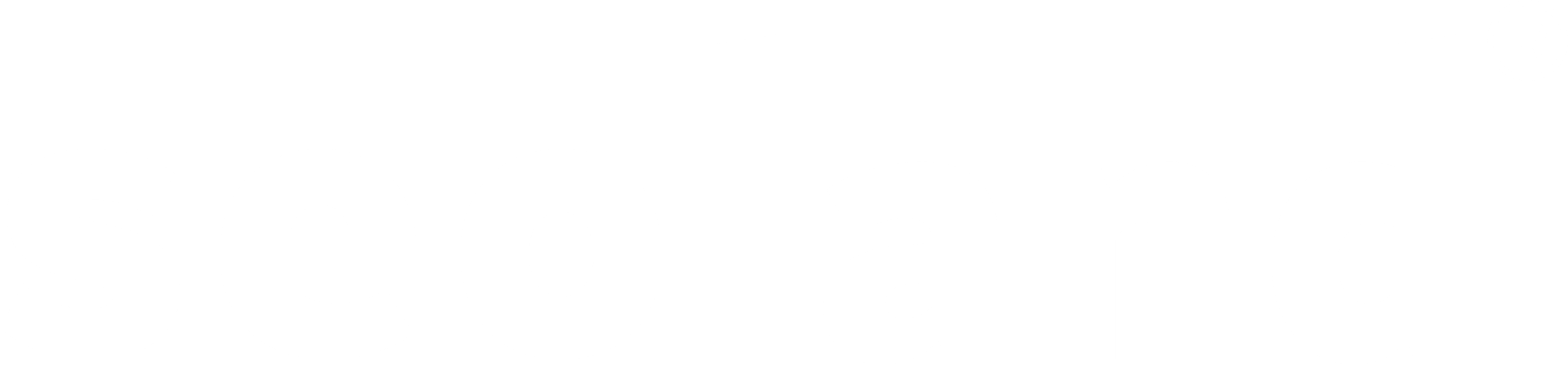 logoseoland-beyaz